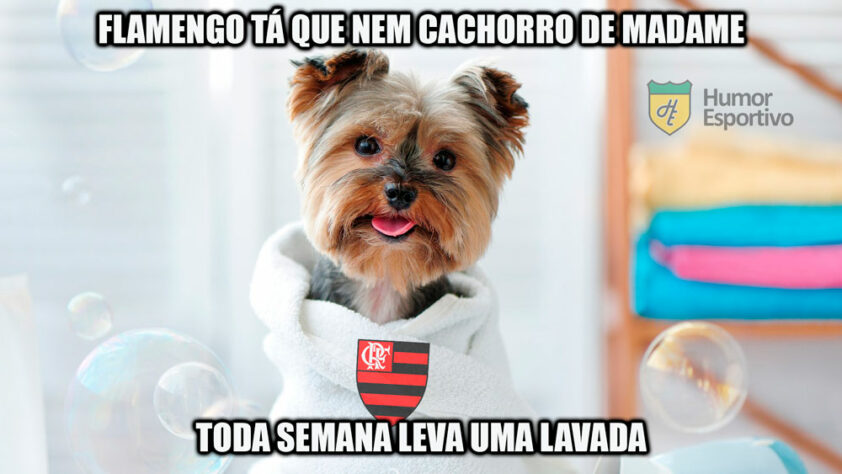 Pin de amanda em memes do flamengo  Flamengo e atlético, Framengo, Piadas  de futebol