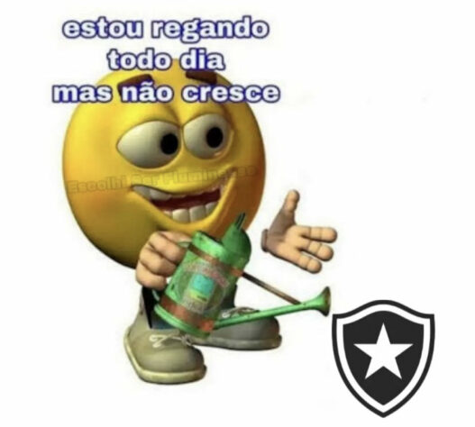 Brasileirão: os melhores memes de Botafogo 0 x 1 Fluminense