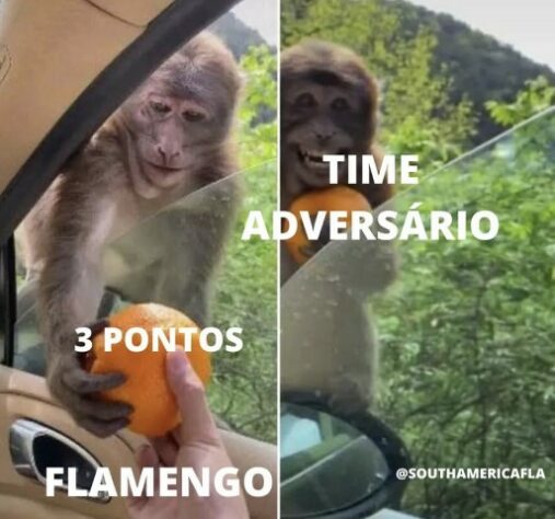 Brasileirão: os melhores memes de RB Bragantino 1 x 0 Flamengo