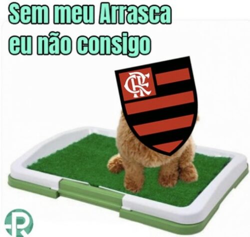 Brasileirão: os melhores memes de RB Bragantino 1 x 0 Flamengo