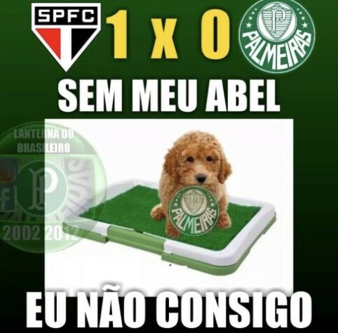 Veja memes após a vitória do São Paulo sobre o Palmeiras na Copa do Brasil  - Gazeta Esportiva