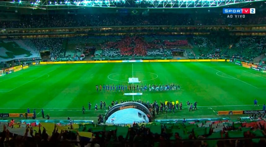 Mosaico da torcida do Palmeiras no Allianz Parque na partida contra o Cruzeiro. (12/09/2018)