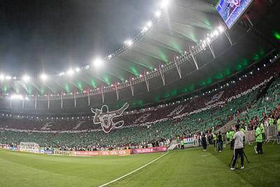 Torcida do Fluminense compareceu em peso no Maracanã e fez muitas homenagens a Fred.