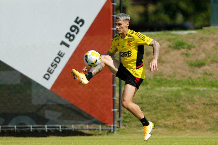 Último reforço a ser anunciado, ele poderá disputar o Brasileirão e as fases finais da Libertadores, se o Flamengo confirmar a classificação contra o Corinthians, na próxima terça-feira.