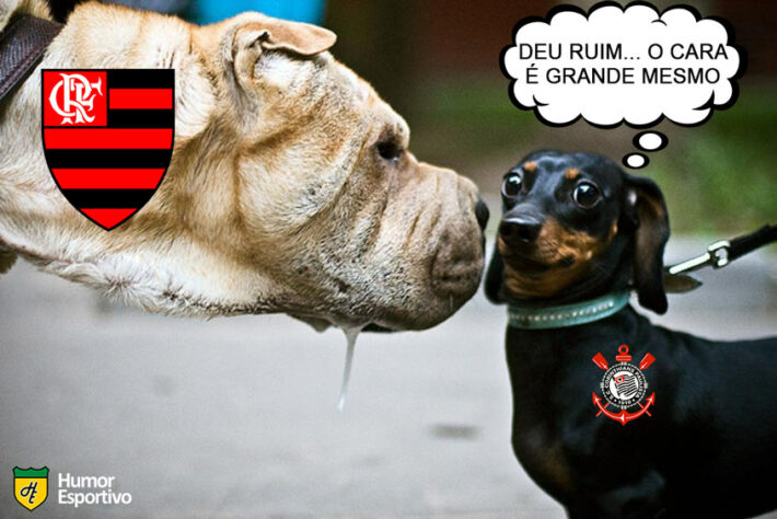 Os melhores memes de Corinthians 0 x 2 Flamengo pela partida de ida das quartas de final da Libertadores.