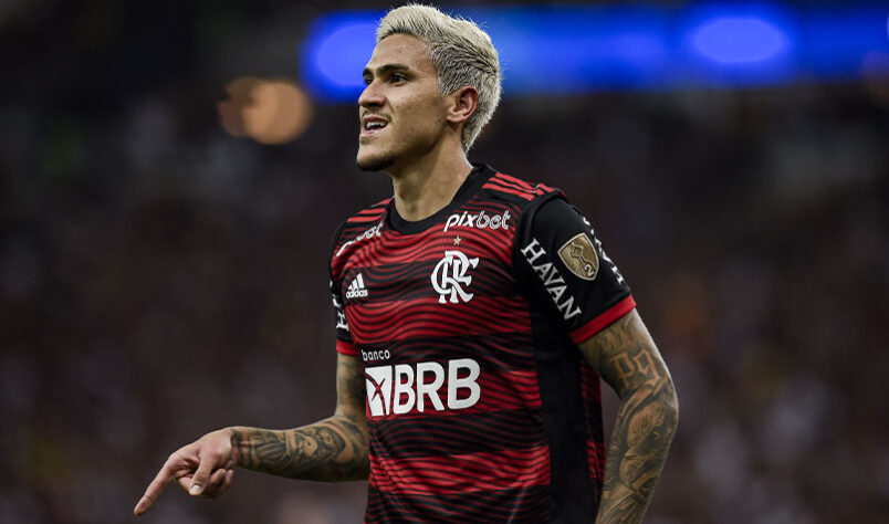 O centroavante Pedro tem sido um dos principais destaques do Flamengo e é forte candidato a ser chamado para a Copa do Mundo do Qatar. Nesta sexta-feira, o técnico Tite convoca a Seleção Brasileira para os últimos amistosos, contra Gana e Tunísia, antes do Mundial. Afinal, o camisa 21 Rubro-Negro merece uma vaga? Veja a opinião de 10 famosos!