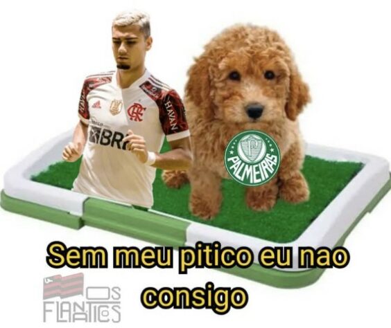 Palmeiras sem Mundial, Felipão herói e Pablo iluminado: rivais fazem memes com queda do Verdão na Libertadores.