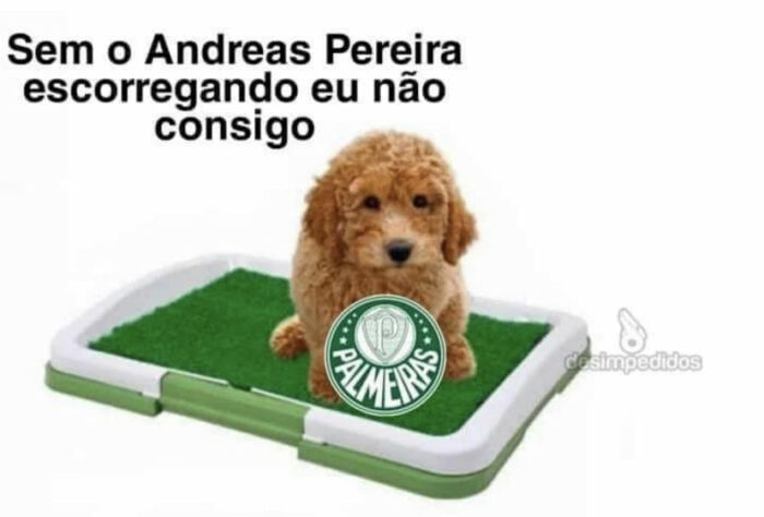 Palmeiras sem Mundial, Felipão herói e Pablo iluminado: rivais fazem memes com queda do Verdão na Libertadores.