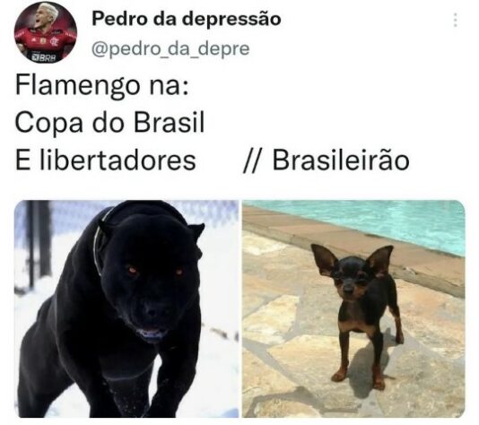 Brasileirão: os melhores memes de Fortaleza 3 x 2 Flamengo.