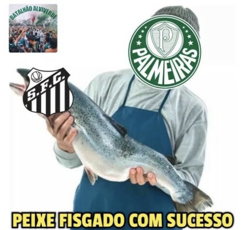 Campeonato Paulista: os melhores memes da vitória do Palmeiras sobre o Santos