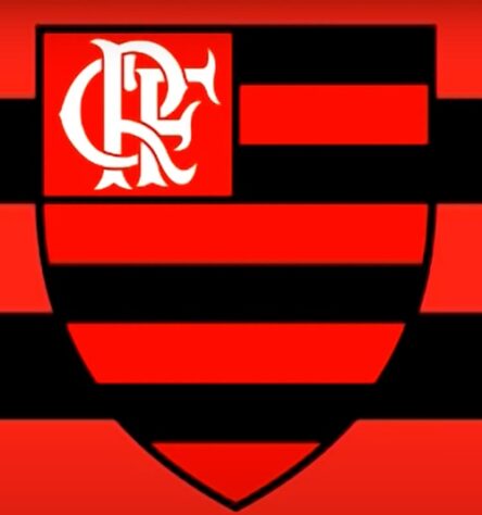 Flamengo: No ano de 1995, quando o Rubro-Negro completou 100 anos, a escola de samba carioca Estácio de Sá resolveu falar sobre as conquistas do clube, na avenida. O resultado: um samba histórico até hoje lembrado pelos torcedores, com o refrão "Cobra coral, papagaio vintém. Vestiu rubro-negro, não tem para ninguém".