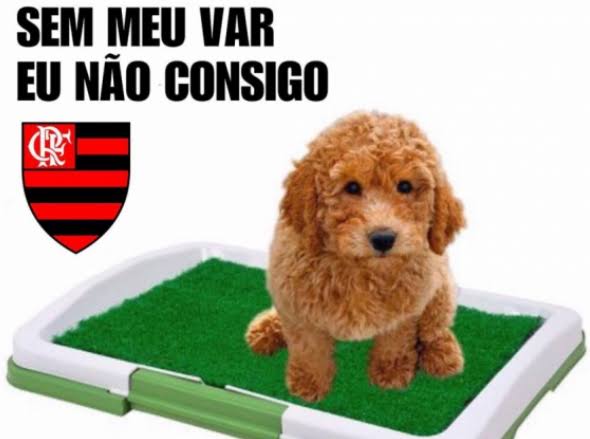 Apesar do 0 a 0 na primeira partida da decisão, mão na bola polêmica de Léo Pereira e queda de luz na Neo Química Arena renderam brincadeiras nas redes sociais. Veja! (Por Humor Esportivo)