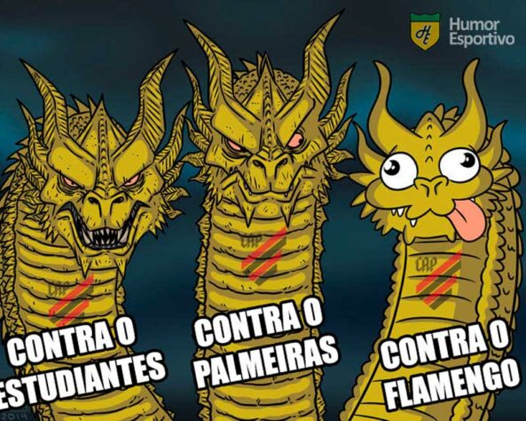 Memes e Zoação pós jogo  Clube De Regatas Do Flamengo Amino