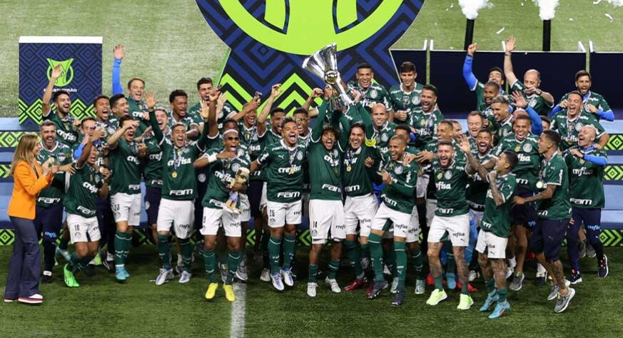 3º lugar: Palmeiras - Nível de liga nacional para ranking: 4 - Pontuação recebida: 308