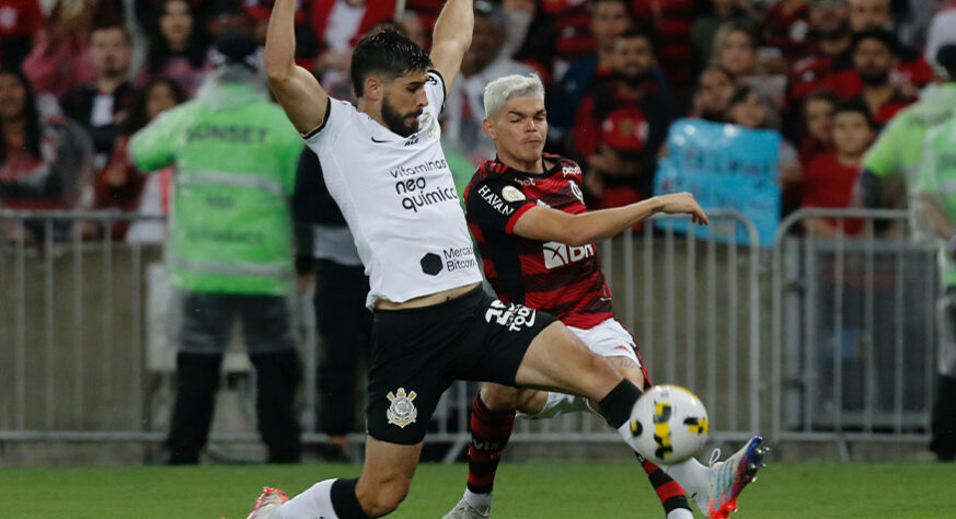 Na decisão, o Timão empatou os dois jogos contra o Flamengo, 0 a 0 na Neo Química Arena e 1 a 1 no Maracanã. Nos pênaltis, o Corinthians foi derrotado pela equipe carioca por 4 a 2 e ficou com o vice-campeonato do torneio.