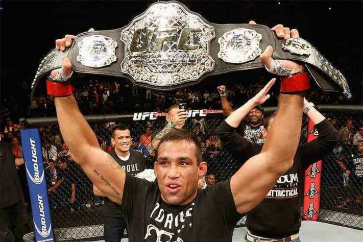 Fabricio Werdum: peso-pesado (2014*, 2015 - 2016). * Título interino.