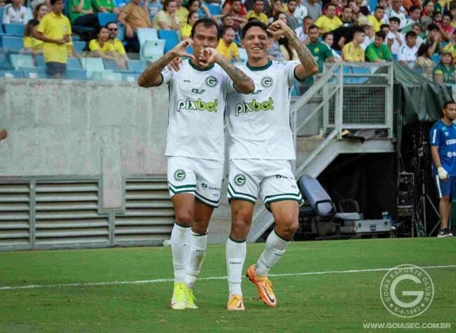 11º - Goiás - 70,8% de aproveitamento (8 jogos, 5 vitórias, 2 empates e 1 derrota / 13 gols marcados e 7 sofridos)