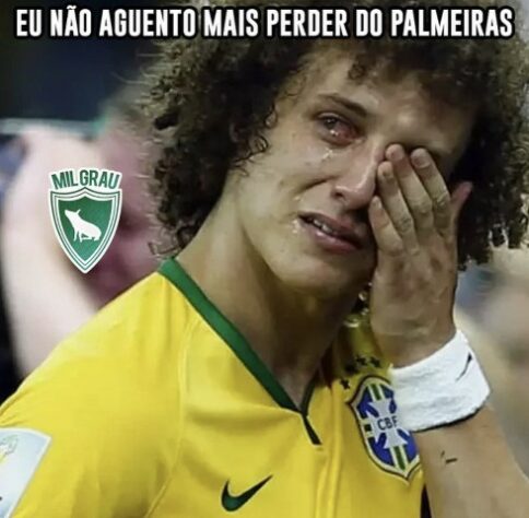 Os melhores memes do título da Supercopa do Brasil do Palmeiras sobre o Flamengo