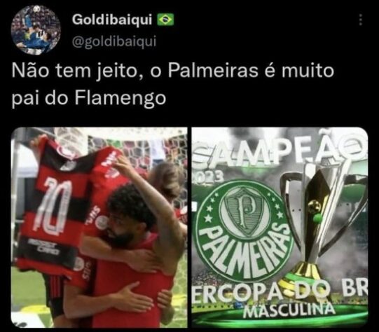 VEJA OS MEMES E AS ZUERAS COM OS FLAMENGO APÓS TÍTULO DO PALMEIRAS NA  SUPERCOPA 