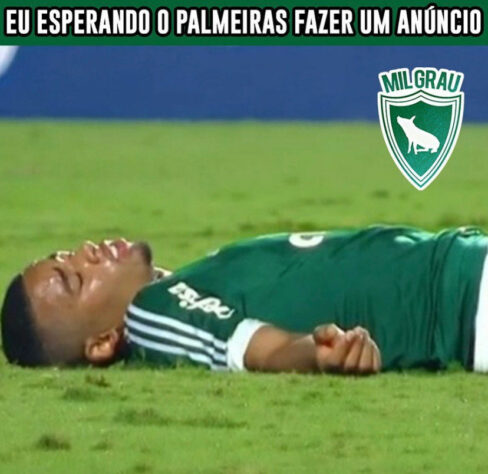 Ausência de contratações no Palmeiras rende memes com o clube e com Leila Pereira.