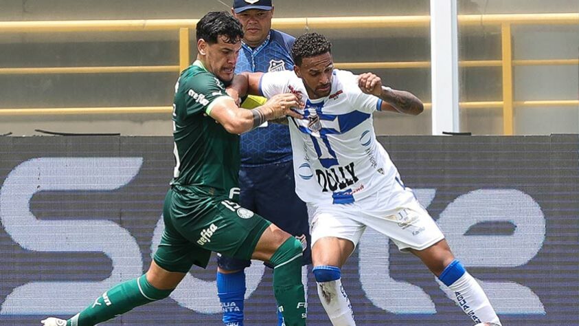 Campeonato Paulista - Palmeiras x Água Santa