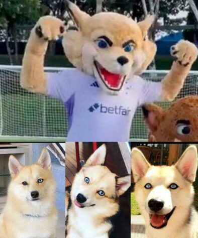 Patrulha Canina, Lulu da Pomerânia e Batoré: novos mascotes do Cruzeiro viram meme nas redes sociais.