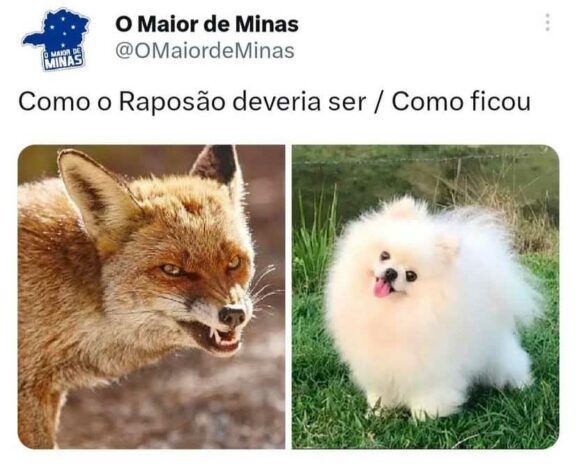 Patrulha Canina, Lulu da Pomerânia e Batoré: novos mascotes do Cruzeiro viram meme nas redes sociais.