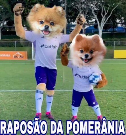 Patrulha Canina, Lulu da Pomerânia e Batoré: novos mascotes do Cruzeiro viram meme nas redes sociais.