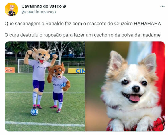 Patrulha Canina, Lulu da Pomerânia e Batoré: novos mascotes do Cruzeiro viram meme nas redes sociais.