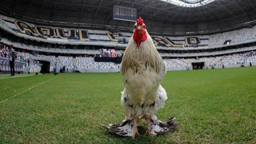 O Atlético recebe neste sábado (15) o Vasco, na estreia do clube no Campeonato Brasileiro, às 21 horas. O Galo, no momento, manda suas partidas no Mineirão.