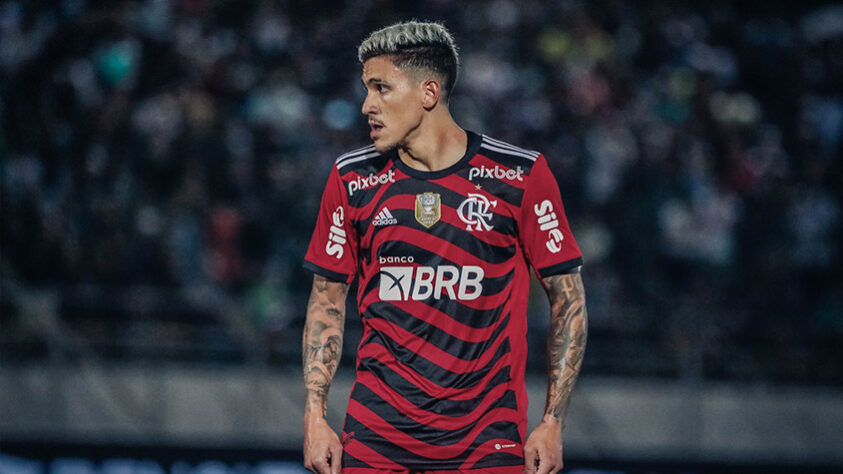 15º - Flamengo - 58,3% de aproveitamento (20 jogos, 11 vitórias, 2 empates e 7 derrotas / 33 gols marcados e 22 sofridos)