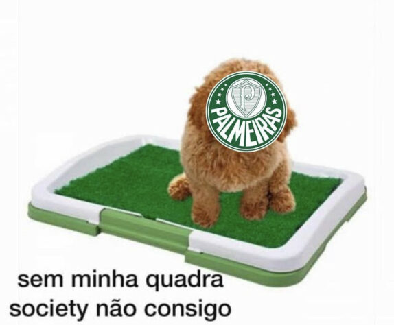 Palmeiras vira alvo de memes após derrota para o Água Santa na final do Paulistão