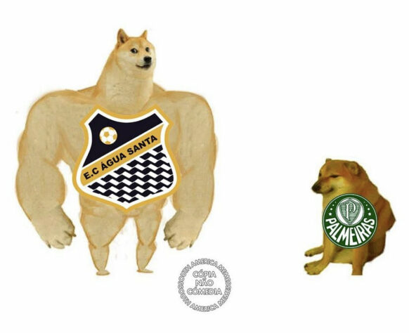 Palmeiras vira alvo de memes após derrota para o Água Santa na final do Paulistão