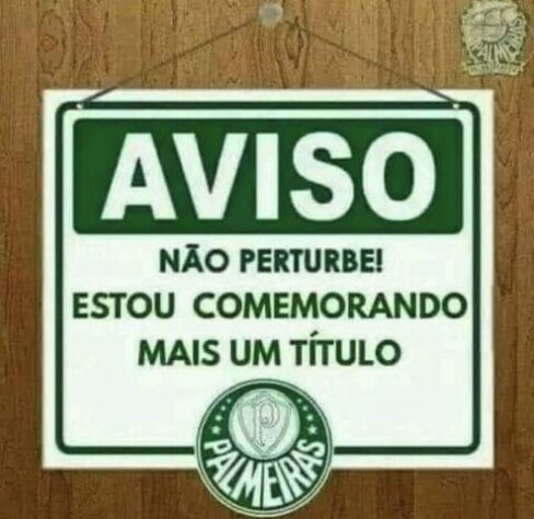 Paulistão 2023: os melhores memes do título do Palmeiras sobre o Água Santa