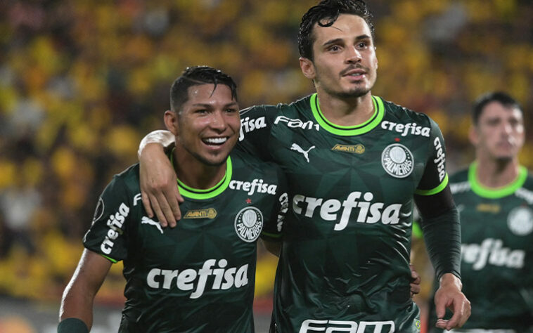 7º lugar – Palmeiras: 223 pontos.