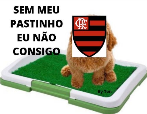 Os melhores memes da vitória do Athletico Paranaense por 2 a 1 sobre o Flamengo pela 4ª rodada do Brasileirão