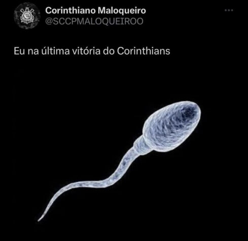 Vanderlei Luxemburgo e Corinthians sofrem com memes nas redes sociais