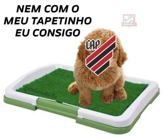 Os melhores memes da classificação do Flamengo para as semifinais da Copa do Brasil após vitória sobre o Athletico