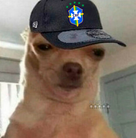 Fernando Diniz protagoniza memes após acerto como técnico interino da Seleção Brasileira até a chegada de Carlo Ancelotti.