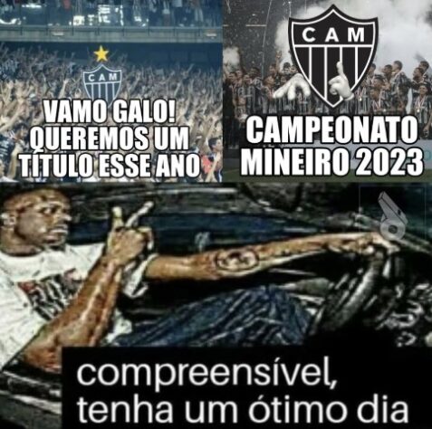 Torcedores fazem memes com classificação do Palmeiras sobre o Atlético-MG na Libertadores