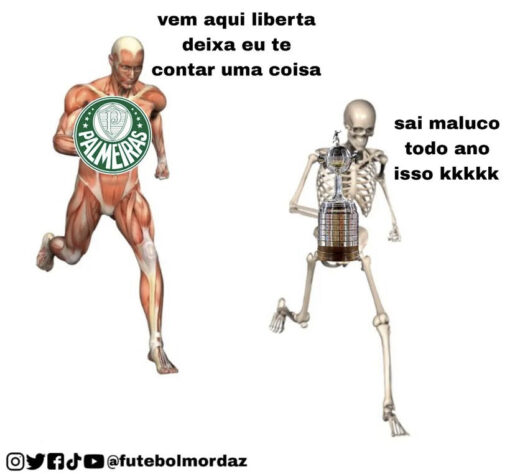 Torcedores fazem memes com classificação do Palmeiras sobre o Atlético-MG na Libertadores