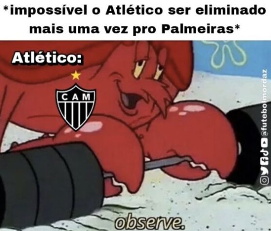 Torcedores fazem memes com classificação do Palmeiras sobre o Atlético-MG na Libertadores