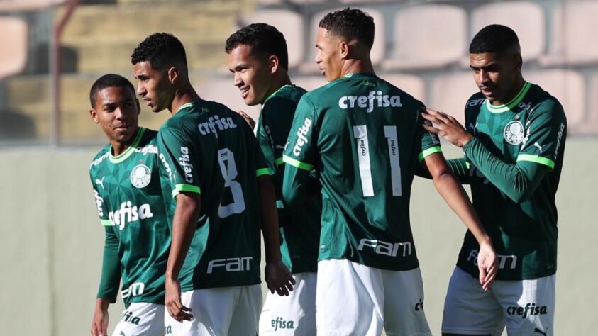 Palmeiras - 12 títulos: Copa do Brasil sub-20 (2), Copa do Brasil sub-17 (3), Brasileirão sub-20 (2), Brasileirão sub-17, Supercopa do Brasil sub-20, Supercopa do Brasil sub-17 e Liga de Desenvolvimento sub-13. 
