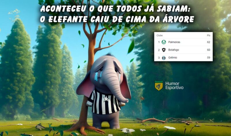 Acabou o gás do Fogão? Palmeiras assume a liderança do Brasileirão e web faz memes com o Botafogo