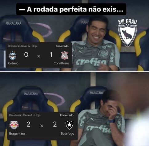 Acabou o gás do Fogão? Palmeiras assume a liderança do Brasileirão e web faz memes com o Botafogo