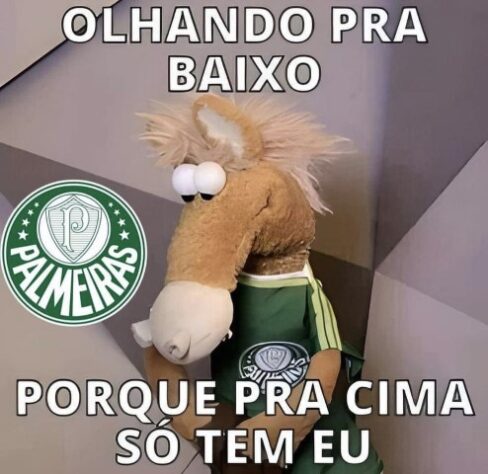 Acabou o gás do Fogão? Palmeiras assume a liderança do Brasileirão e web faz memes com o Botafogo