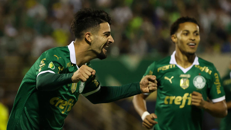 Palmeiras  - Camisa 1 - Fornecedora do material esportivo: Puma