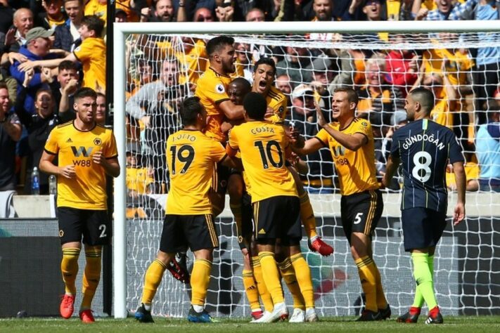 17. Wolves
