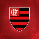 🥇 Loja do Flamengo - Os Melhores Produtos para o Torcedor
