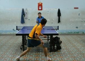 Top 10 Melhores Mesas de Ping Pong em 2023 (Klopf, Procópio e mais